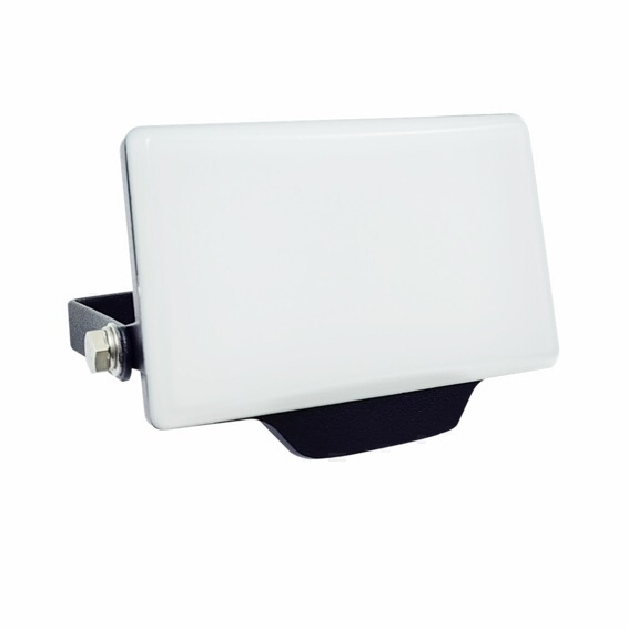 <div>FOCO PROYECTOR LED FORGE OPAL 10W 6500K IP65</div>