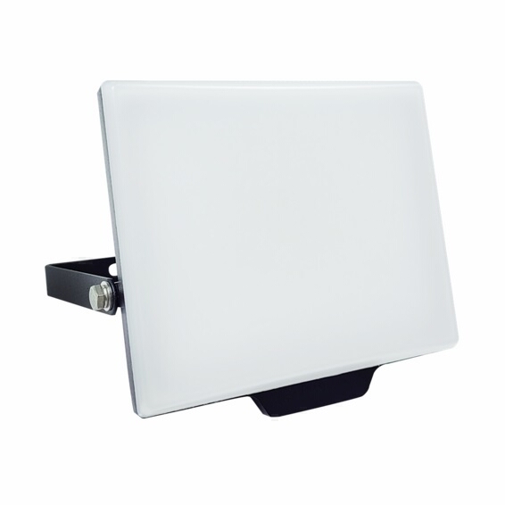 <div>FOCO PROYECTOR LED FORGE OPAL 30W 6500K IP65</div>