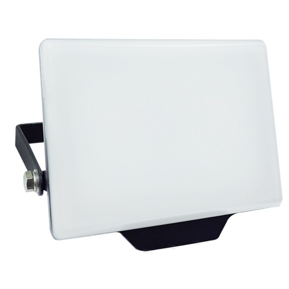 <div>FOCO PROYECTOR LED FORGE OPAL 50W 6500K IP65</div>